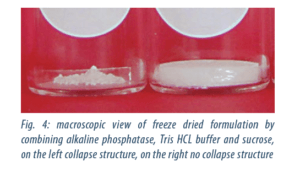 Freeze Drying Is Not Necessarily Bad For Stability And Can Reduce Cost