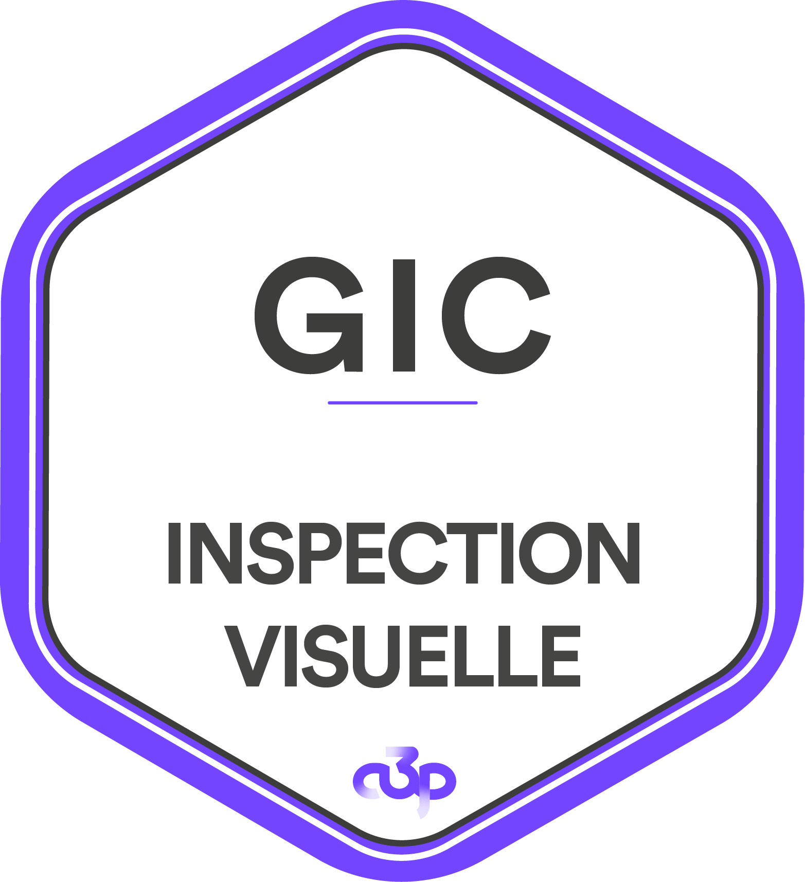 Inspection-Visuelle-A3P-Technique-Scientifique-Pharma